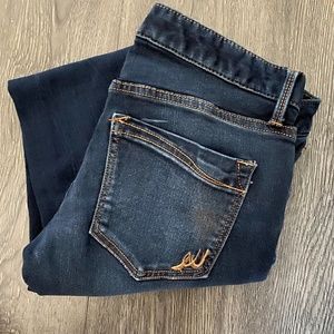 Express Dark Wash Skinny Jeans- Size 4
